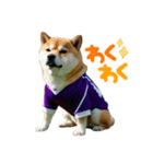 柴犬太の日常会話【サッカー部】（個別スタンプ：2）