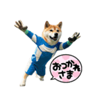 柴犬太の日常会話【サッカー部】（個別スタンプ：3）