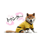 柴犬太の日常会話【サッカー部】（個別スタンプ：5）