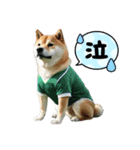 柴犬太の日常会話【サッカー部】（個別スタンプ：7）