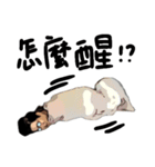 おもしろい友達 part3（個別スタンプ：24）