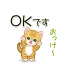 キラキラおめめの子猫ちゃん 基本スタンプ（個別スタンプ：10）