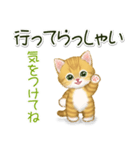 キラキラおめめの子猫ちゃん 基本スタンプ（個別スタンプ：37）