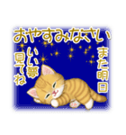 キラキラおめめの子猫ちゃん 基本スタンプ（個別スタンプ：39）