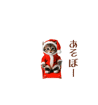 動く！クリスマス猫ミーム（個別スタンプ：6）