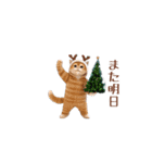 動く！クリスマス猫ミーム（個別スタンプ：10）