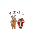 動く！クリスマス猫ミーム（個別スタンプ：13）