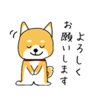 お仕事の日＊しばいぬくんの毎日（個別スタンプ：37）