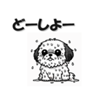 まいにちシーズー 挨拶返答編 いぬ イヌ 犬（個別スタンプ：38）