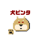 わんこと日常(ドット絵)（個別スタンプ：24）