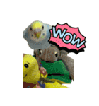 セキセインコのミントさん（個別スタンプ：32）