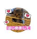 ちーたん꒰ঌ‪❤️໒꒱天使ちゃん  ①（個別スタンプ：1）