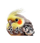 若者風オカメインコ【big/デカ文字】ver.（個別スタンプ：8）