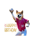 柴犬太の日常会話【野球部】（個別スタンプ：3）
