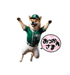 柴犬太の日常会話【野球部】（個別スタンプ：8）