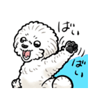 オーダースタンプ_クルリ（個別スタンプ：5）
