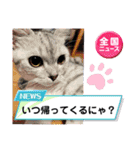 ねこandいんこnoスタンプ部（個別スタンプ：23）