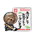 お転婆ヨーキー璃愛華＆愛望＆永愛③（個別スタンプ：8）