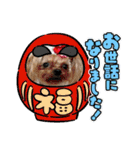 お転婆ヨーキー璃愛華＆愛望＆永愛③（個別スタンプ：9）