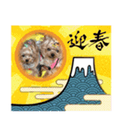 お転婆ヨーキー璃愛華＆愛望＆永愛③（個別スタンプ：14）