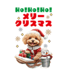 トイプードルとクリスマスBIGスタンプ（個別スタンプ：25）