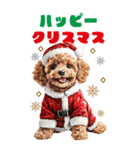 トイプードルとクリスマスBIGスタンプ（個別スタンプ：28）