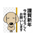 優しい気づかい ダックスフンド 冬＋年賀状（個別スタンプ：38）