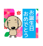 優しい気づかい ダックスフンド 冬＋年賀状（個別スタンプ：40）