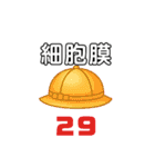 生物基礎 Ⅲ 23-33（個別スタンプ：11）