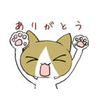 ねこのちゃこちゃんスタンプ（個別スタンプ：3）