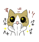 ねこのちゃこちゃんスタンプ（個別スタンプ：8）