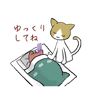 ねこのちゃこちゃんスタンプ（個別スタンプ：18）