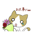 ねこのちゃこちゃんスタンプ（個別スタンプ：38）