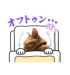 まったりしあわせニャンズ（個別スタンプ：21）