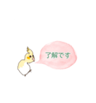 オカメインコ の 挨拶スタンプ（個別スタンプ：4）