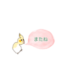 オカメインコ の 挨拶スタンプ（個別スタンプ：7）