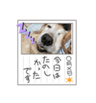Qべぇプロジェクト2（個別スタンプ：7）