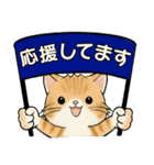 笑顔を運ぶ猫たち♡ 基本(リニューアル版）（個別スタンプ：31）