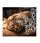 のんびり猫の癒しとほっこり（個別スタンプ：5）