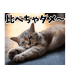 のんびり猫の癒しとほっこり（個別スタンプ：6）