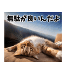 のんびり猫の癒しとほっこり（個別スタンプ：20）