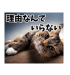 のんびり猫の癒しとほっこり（個別スタンプ：21）