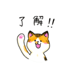 三毛猫ラムちゃん（個別スタンプ：20）