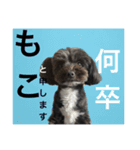 愛するmoco2（個別スタンプ：30）
