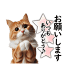 ずっと使える日常会話☆仲の良い人用☆猫（個別スタンプ：3）