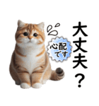 ずっと使える日常会話☆仲の良い人用☆猫（個別スタンプ：7）