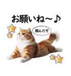 ずっと使える日常会話☆仲の良い人用☆猫（個別スタンプ：14）