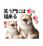 ずっと使える日常会話☆仲の良い人用☆猫（個別スタンプ：24）