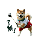柴犬太の日常会話【ゴルフ部】（個別スタンプ：2）