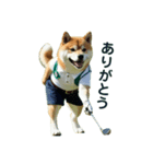 柴犬太の日常会話【ゴルフ部】（個別スタンプ：5）